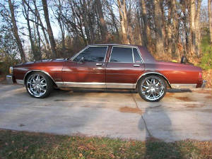 caprice1small.jpg