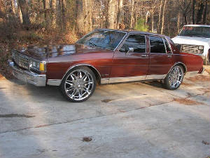 caprice2small.jpg