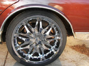 caprice3small.jpg